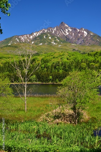 Wallpaper Mural 利尻島　初夏の風景 Torontodigital.ca