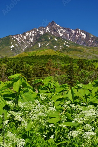 Wallpaper Mural 利尻島　初夏の風景 Torontodigital.ca