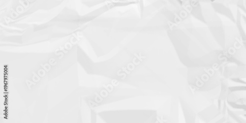 Creased paper parchment white blank page detail wrinkle blank white canvas. old paper crumple texture wrinkle. parchment empty letter texture.