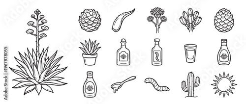 Collection of hand-drawn agave plant elements and related products, including bottles, a shot glass, and a worm, rendered in a clean line art style