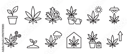 Collection of cannabis plant cultivation icons in a clean, simple black outline style, illustrating various growth stages and care