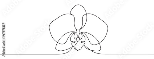 Beautiful single line drawing of an elegant orchid flower, minimalist black outline on a clean white surface