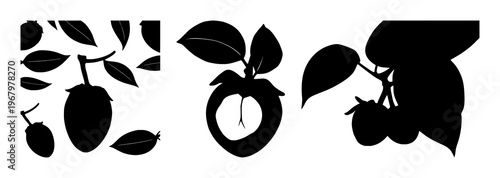 Mangosteen set with solid black silhouette of a whole fruit featuring tropical fruit, black silhouette, green crown with line art and illustration