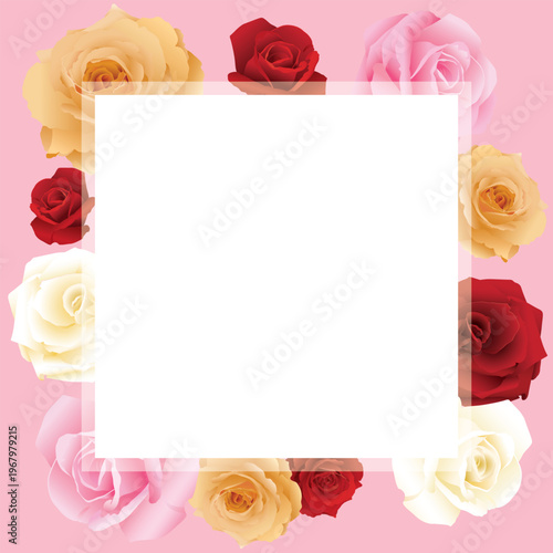 Blank white square frame with roses various colors on pink background