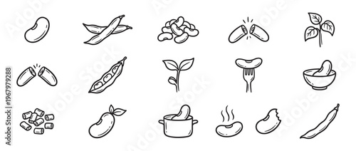 Collection of hand-drawn bean icons in various forms, including whole beans, pods, sprouts, and prepared dishes, presented in a clean, illustrative style