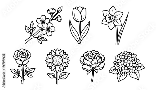 Flower Line Art Clipart Set — 7 Botanical Floral Doodle Icons 