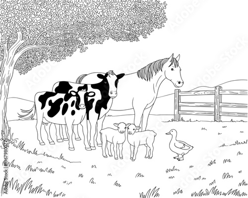 Educational farmhouse coloring page featuring a friendly cow horse duck and two cute lambs together in a sunny rural meadow with trees and wooden picket fence for kids learning about nature and farm a