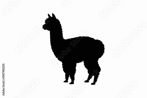 Minimalist alpaca silhouette icon isolated on a pristine white background for simple modern vector graphic design projects educational signage logos apparel branding farm animal husbandry creative ima