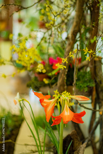 Vibrant orange flowers bloom in a lush garden filled with colorful plants and greenery
