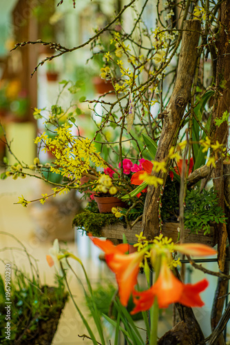 Vibrant blooms dance in a cozy greenhouse filled with color and life, celebrating nature's beauty