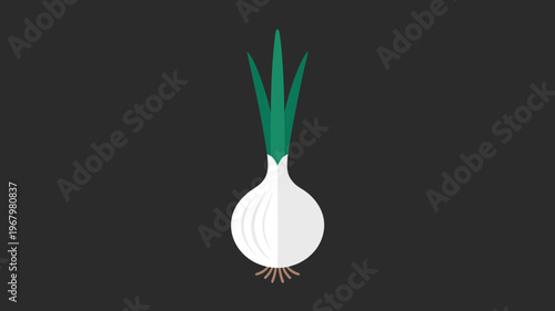Minimalist flat vector icon of a fresh organic white onion with vibrant green sprout stalks isolated on a dark background perfect for culinary graphic design healthy nutrition cooking recipe website m