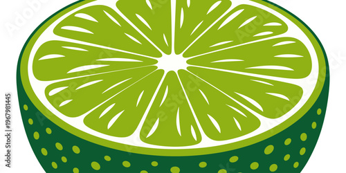 Vibrant lime fruit cross section illustration featuring a halved citrus vegetable sliced in half isolated on a clean white background for culinary health branding projects digital artwork or organic m