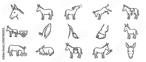 Collection of hand-drawn black and white donkey illustrations in various poses and actions, including a head, full body, braying, jumping, with a saddle, pulling a cart, eating hay,
