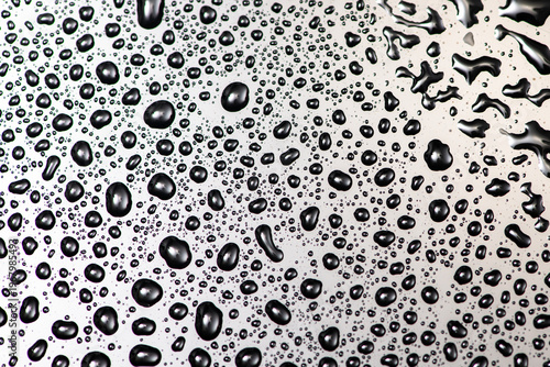 Drops wet surface texture background. Drops build bubble pattern with moisture. Drops show macro liquid detail. Drops and drop create clean wallpaper design.