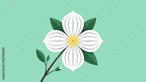 Minimalist Flat Design Illustration of a White Dogwood Flower on a Green Background, Modern Floral Vector Art for Spring Design
