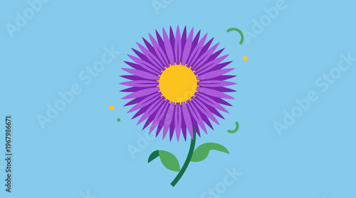 Stylized Purple Aster Flower Vector Illustration on Blue Background, Flat Design Floral Icon