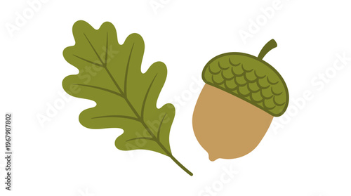 Oak Leaf and Acorn Illustration Isolated on White Background