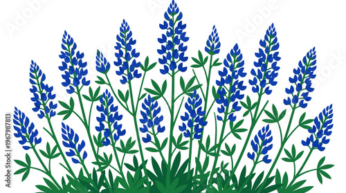 Stylized Bluebonnet Flower Illustration Isolated on White Background - Lupine Wildflower Graphic for Spring and Nature Designs