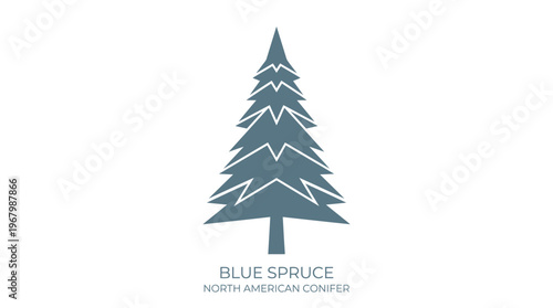 Blue Spruce North American Conifer Vector Illustration - Minimalist Flat Icon of an Evergreen Pine Tree for Nature, Forestry, and Holiday Design