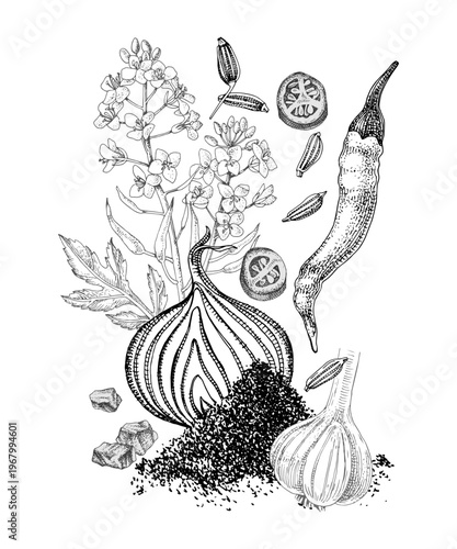 BBQ vector hand drawn spice mix