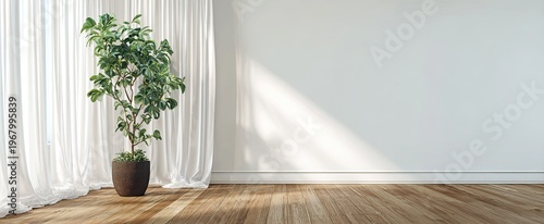 Interior shot with sunlight on a wooden floor and a white wall, a green plant, and white curtains