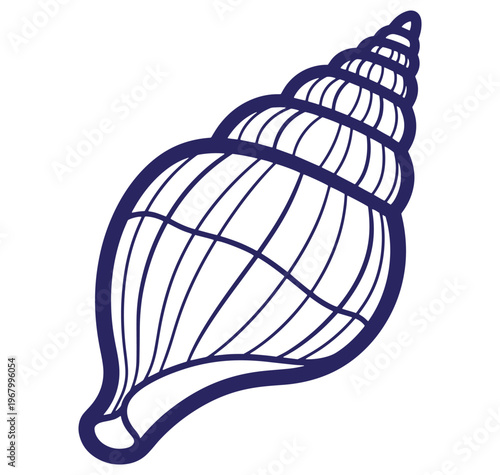 Vector illustration of a detailed dark blue shell isolated on white background