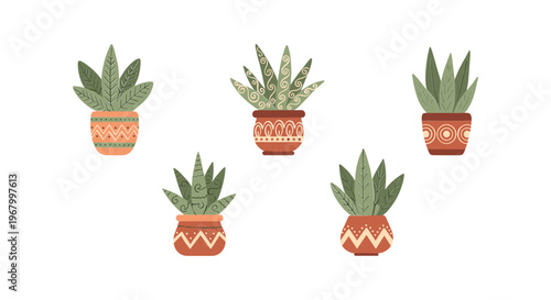 Five Potted Succulent Plants with Decorative Pots.