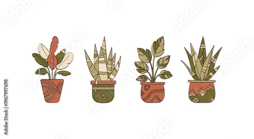 Four Potted Plants with Different Foliage 1.
