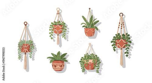 Hanging Potted Plants with Decorative Macrame.