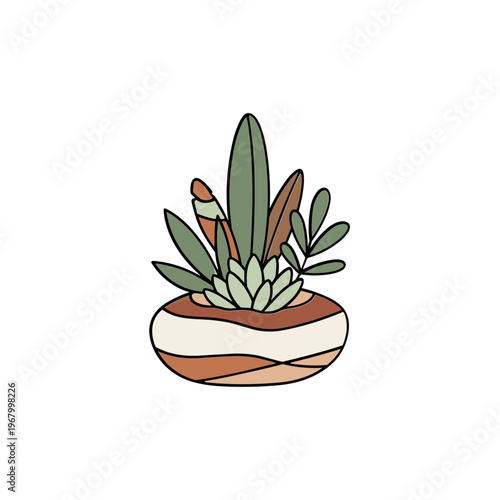 Illustration of Succulent Plant in Pot.