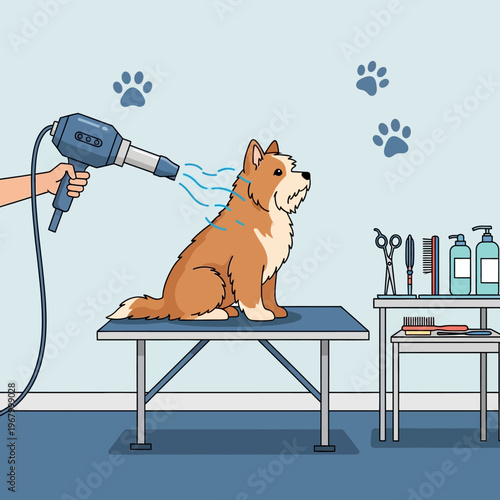 Dog grooming, drying fur with hairdryer on grooming table, pet care, salon, clean, professional
