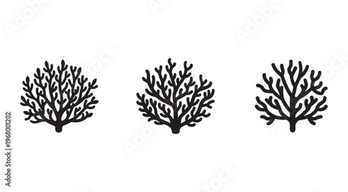 Black coral reef silhouettes on white background