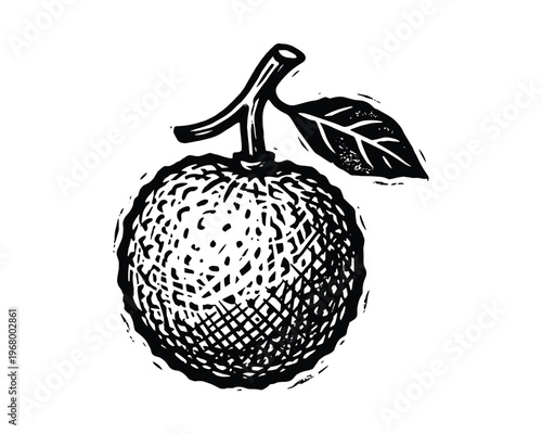 Engraved mandarin, hand drawn sketch. whole citrus fruit with leaf. orange fruit illustration with texture