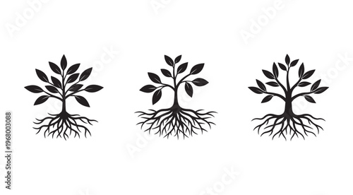 Black silhouettes of trees with roots and leaves on white background  plant growth and development icons