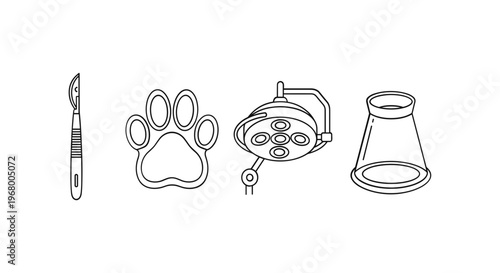 Paintbrush paw print camera lens funnel.