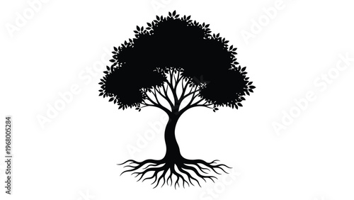 A detailed black silhouette of a mature tree with visible roots and full foliage against a white background silhouette high quality