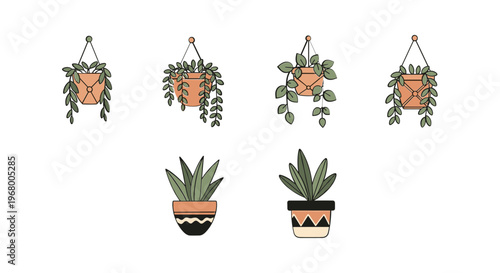 Potted Plants Hanging Baskets Decorative Greenery.