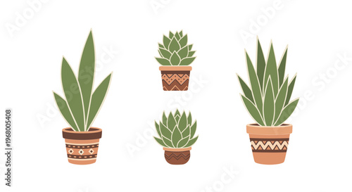 Potted Succulent Plants with Green Leaves.