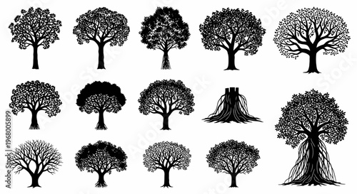 Collection of 14 different tree silhouettes in various shapes and sizes on white background