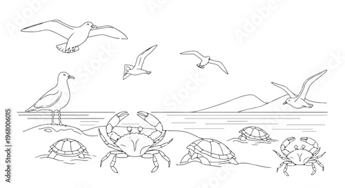 Minimalist line art beach landscape with sea animals, coastal scene with flying seagulls and crabs, ocean shore vector illustration for coloring