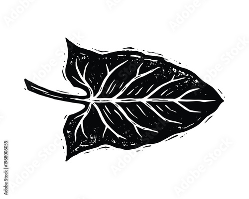 Hand drawn broad leaf; plant element; natural foliage; black sketch illustration; isolated object