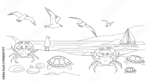 Minimalist beach line art vector, coastal landscape with crabs and sea turtles, nautical scene featuring seagulls and sailboat for coloring book