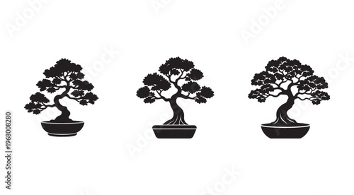 Bonsai trees in pots  three black silhouettes  plants and flowers for decoration and gardening