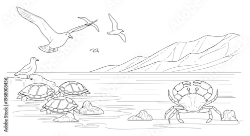 Coastal wildlife coloring page vector, sea animals and birds in ocean landscape, hand drawn outline of turtles, crab and seagulls on beach
