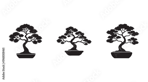 Bonsai trees in pots with curved trunks and leafy branches  bonsai art  plant silhouettes