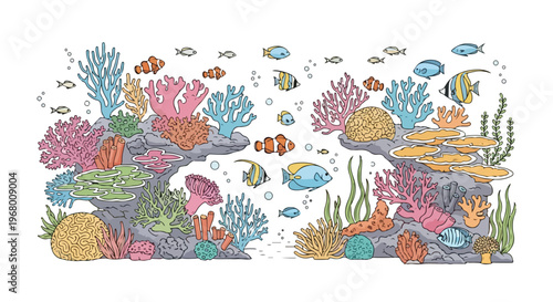 Underwater coral reef vector illustration, colorful tropical fish swimming in sea anemone, marine life and ocean biodiversity background