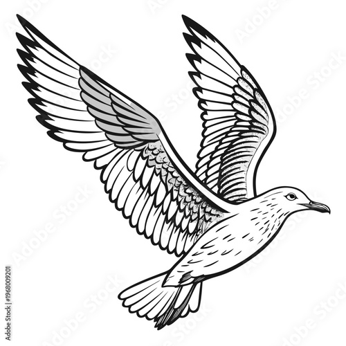 A detailed black and white illustration depicts a seagull soaring gracefully through the air with wings fully extended high quality