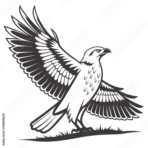 A striking black and white illustration depicts a majestic hawk in mid flight wings outstretched and focused gaze high quality