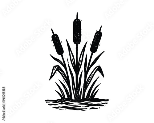 linocut style cattail plants, hand drawn reeds in water, nature element illustration