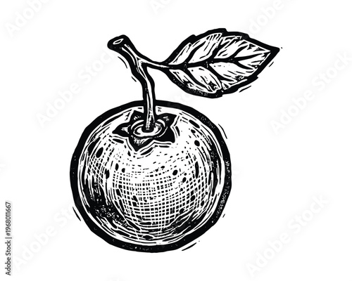 Orange fruit with leaf. Hand-drawn linocut style graphic. Monochrome sketch of citrus fruit